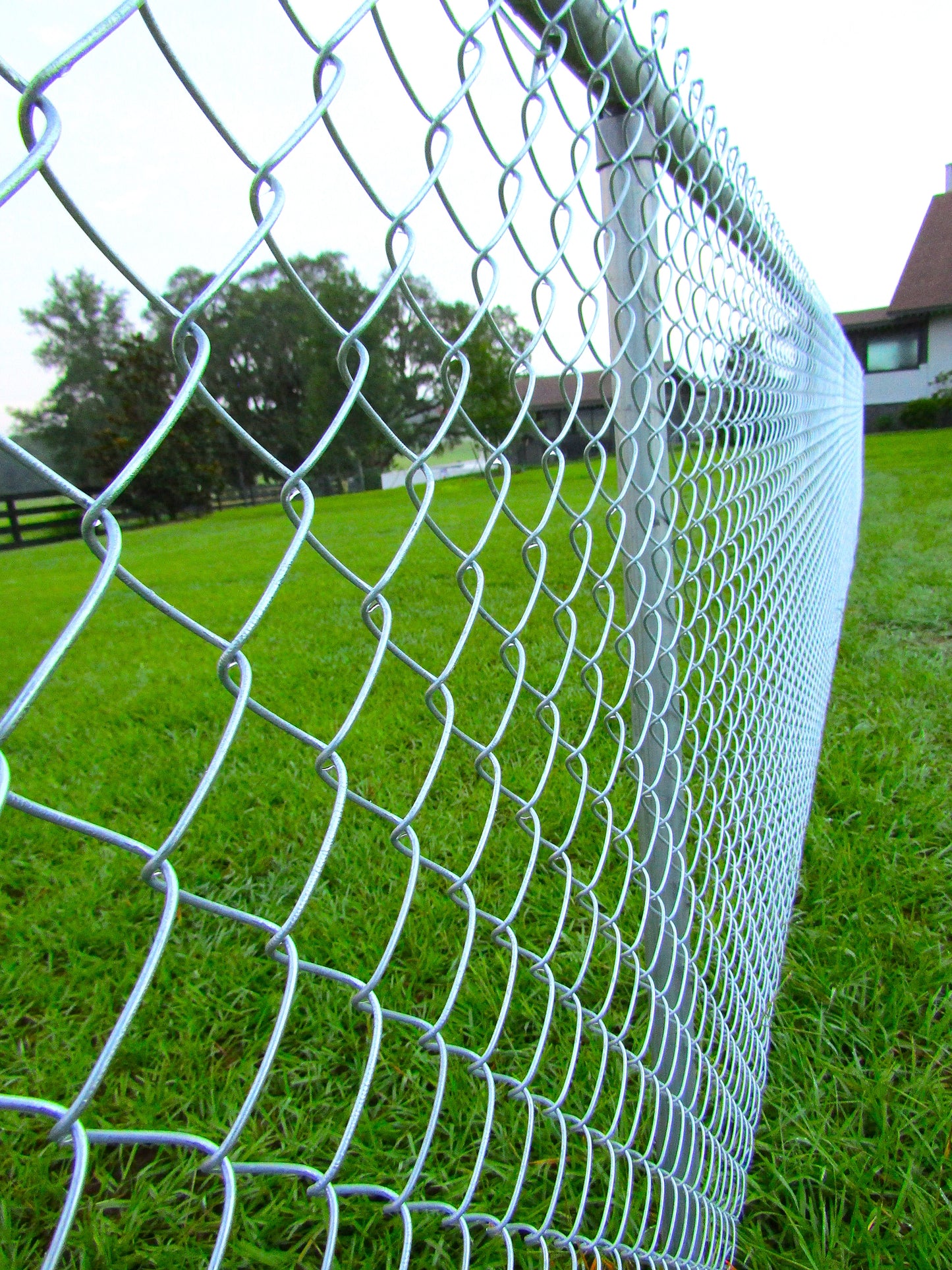 Galvanized chain link fencing with knuckle ends with house in background corner